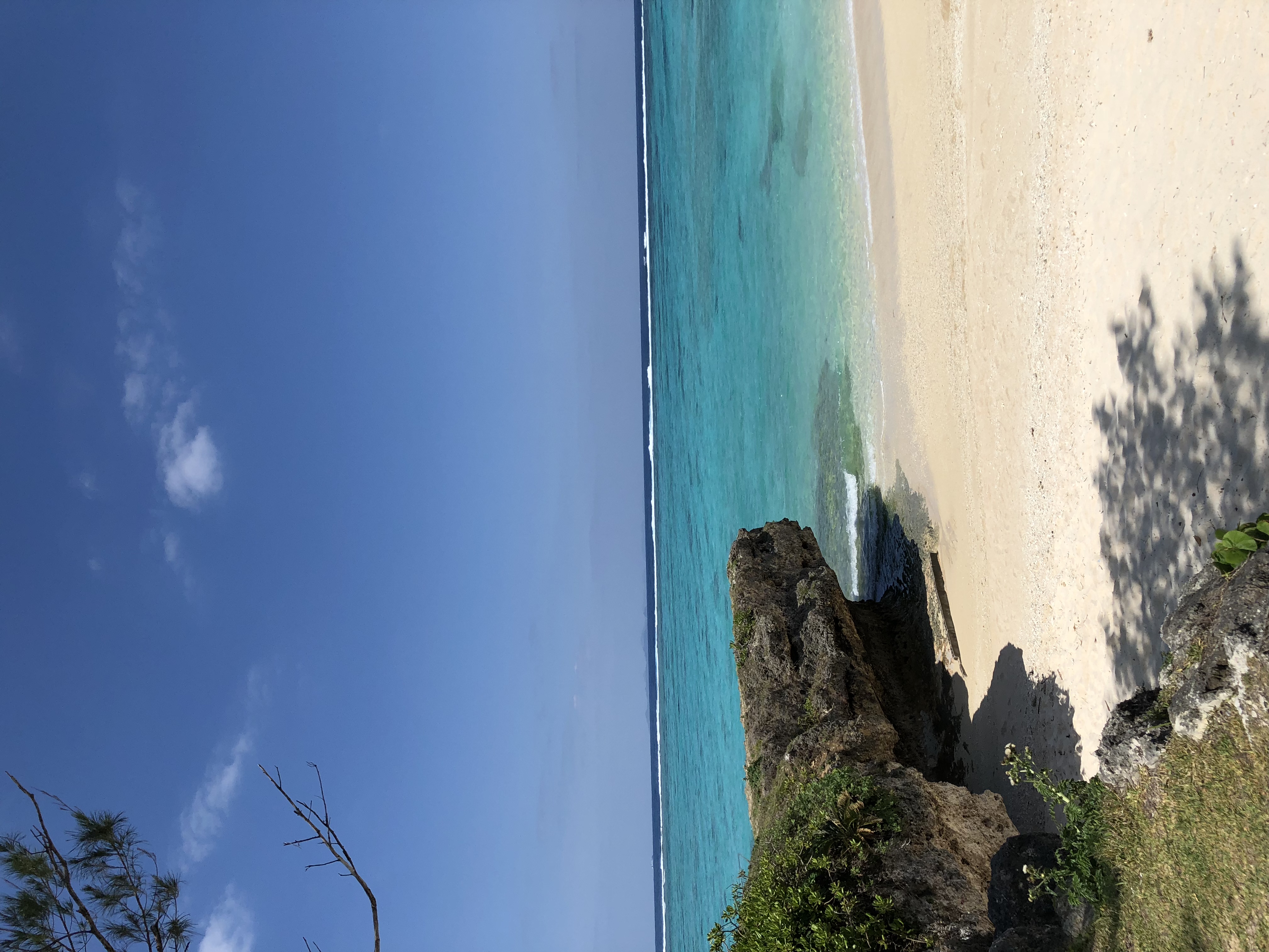 沖縄の綺麗な海が全国へ